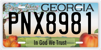 GA license plate PNX8981