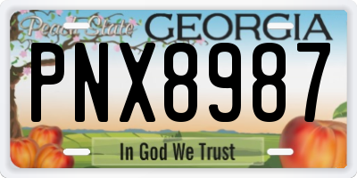 GA license plate PNX8987
