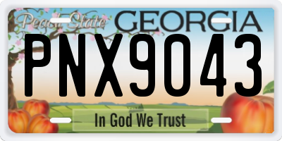 GA license plate PNX9043