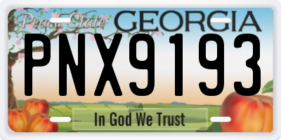 GA license plate PNX9193