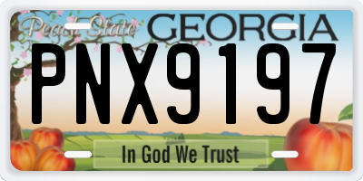 GA license plate PNX9197