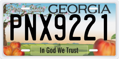 GA license plate PNX9221