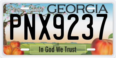 GA license plate PNX9237