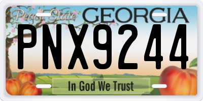 GA license plate PNX9244