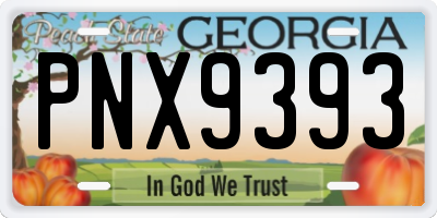 GA license plate PNX9393