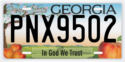 GA license plate PNX9502