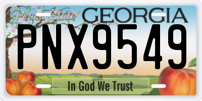 GA license plate PNX9549