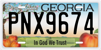 GA license plate PNX9674