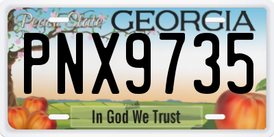 GA license plate PNX9735