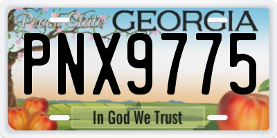 GA license plate PNX9775