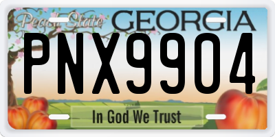 GA license plate PNX9904
