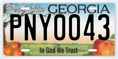 GA license plate PNY0043