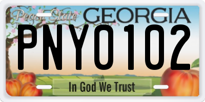 GA license plate PNY0102