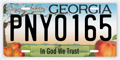 GA license plate PNY0165