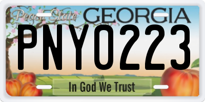GA license plate PNY0223