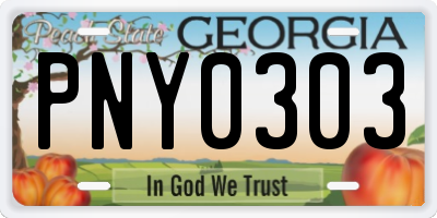GA license plate PNY0303