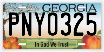 GA license plate PNY0325