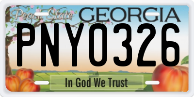 GA license plate PNY0326