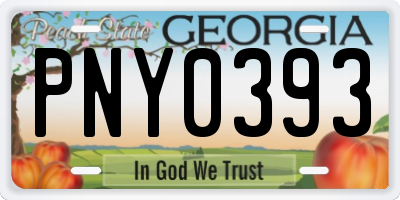 GA license plate PNY0393