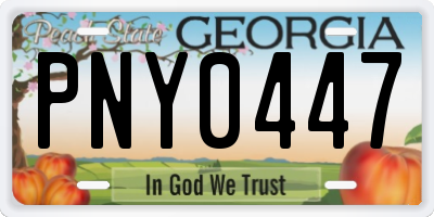 GA license plate PNY0447
