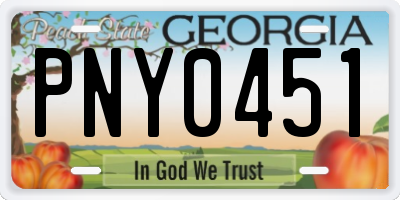 GA license plate PNY0451