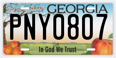 GA license plate PNY0807
