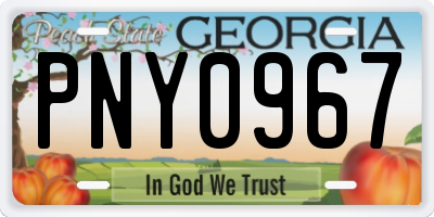 GA license plate PNY0967