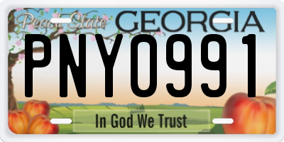 GA license plate PNY0991