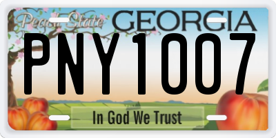 GA license plate PNY1007