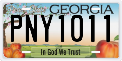 GA license plate PNY1011