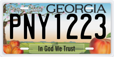 GA license plate PNY1223