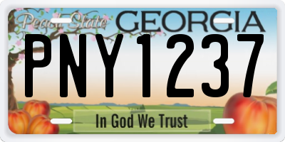 GA license plate PNY1237