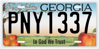 GA license plate PNY1337