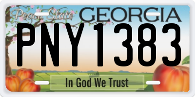 GA license plate PNY1383