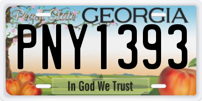 GA license plate PNY1393
