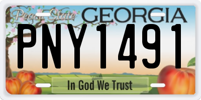 GA license plate PNY1491