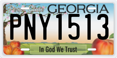 GA license plate PNY1513