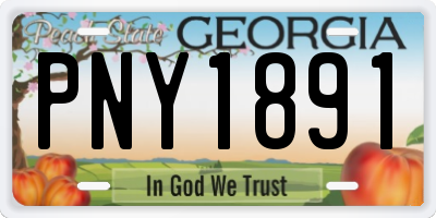 GA license plate PNY1891