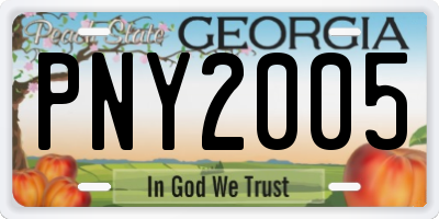 GA license plate PNY2005