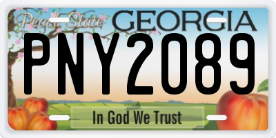 GA license plate PNY2089