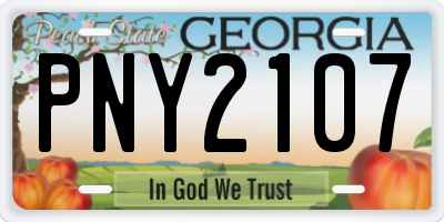 GA license plate PNY2107