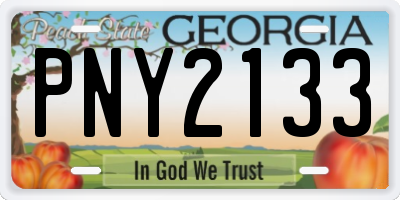 GA license plate PNY2133