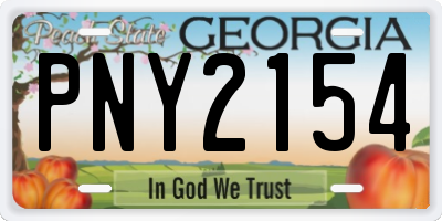 GA license plate PNY2154