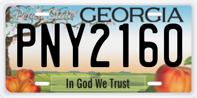 GA license plate PNY2160