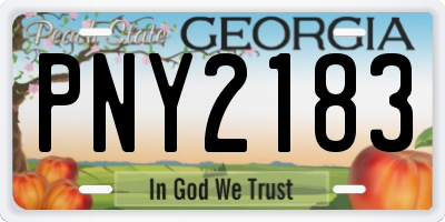 GA license plate PNY2183