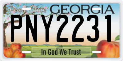 GA license plate PNY2231