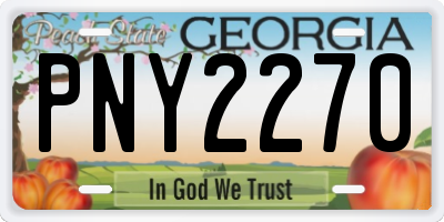 GA license plate PNY2270
