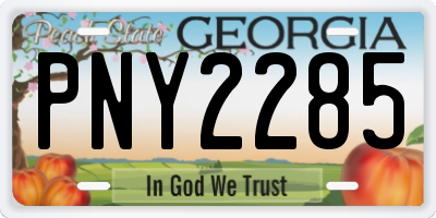 GA license plate PNY2285