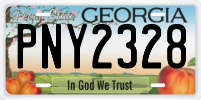 GA license plate PNY2328