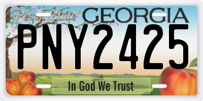GA license plate PNY2425